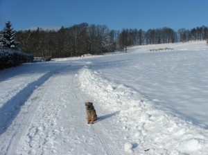 Foto 22.1. 2016 - konečně zima