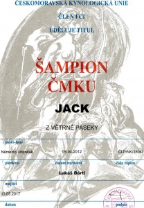 Německý křepelák Jack z Větrné paseky  - Český Grand Šampion a Šampion ČMKU!