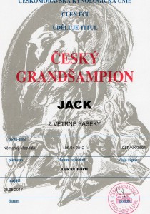 Německý křepelák Jack z Větrné paseky  - Český Grand Šampion a Šampion ČMKU!