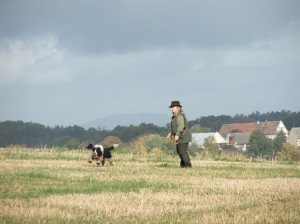 Nero hledej!